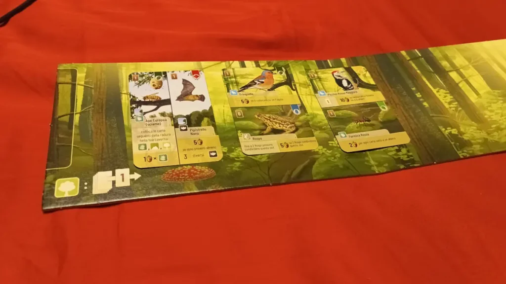 plancia di gioco forest shuffle