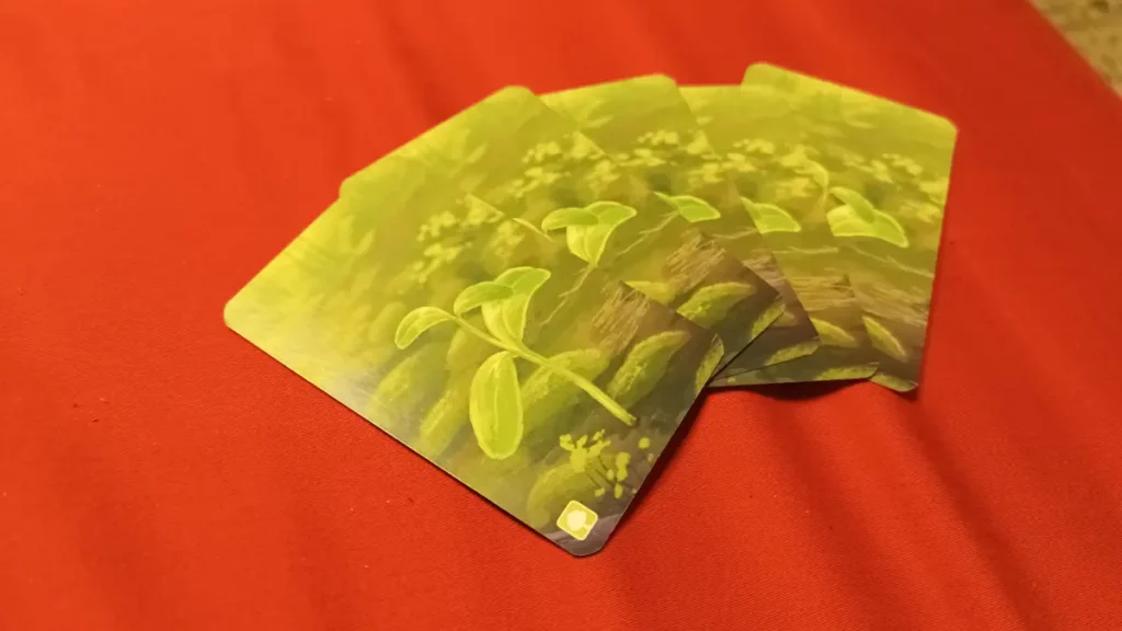 restro carte forest shuffle